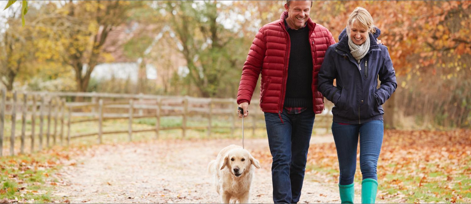 Husband and wife walking their dog